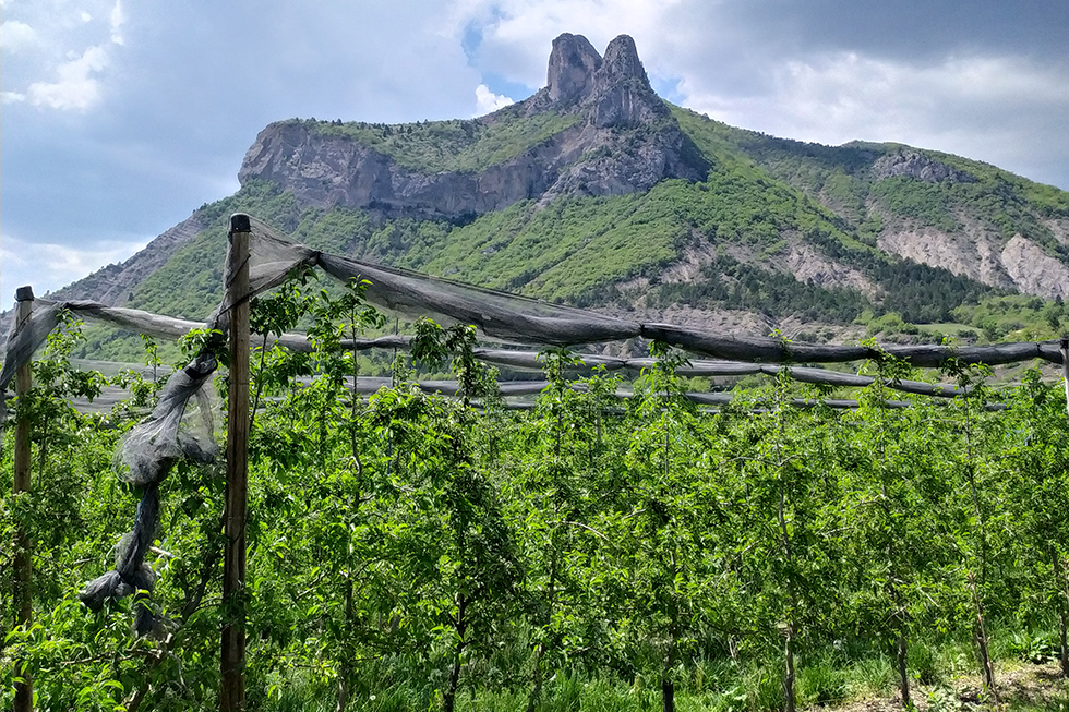 Gaec Pré de Clare