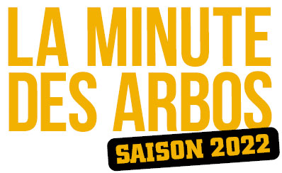 la-minute-arbos