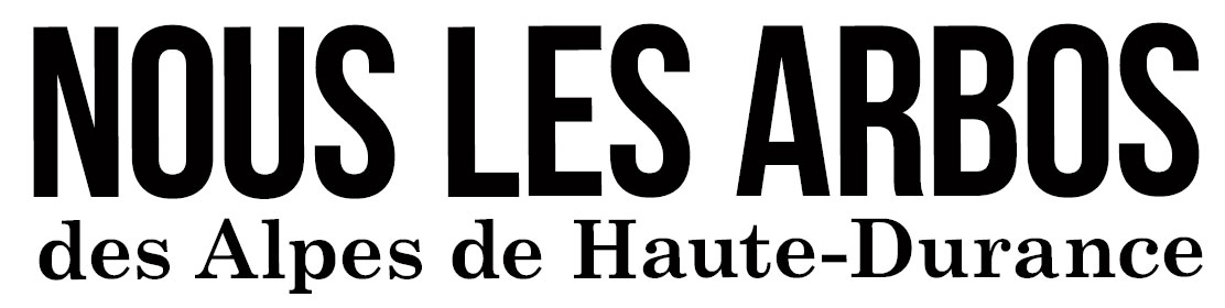 nous-les-arbos20 nous-les-arbos20